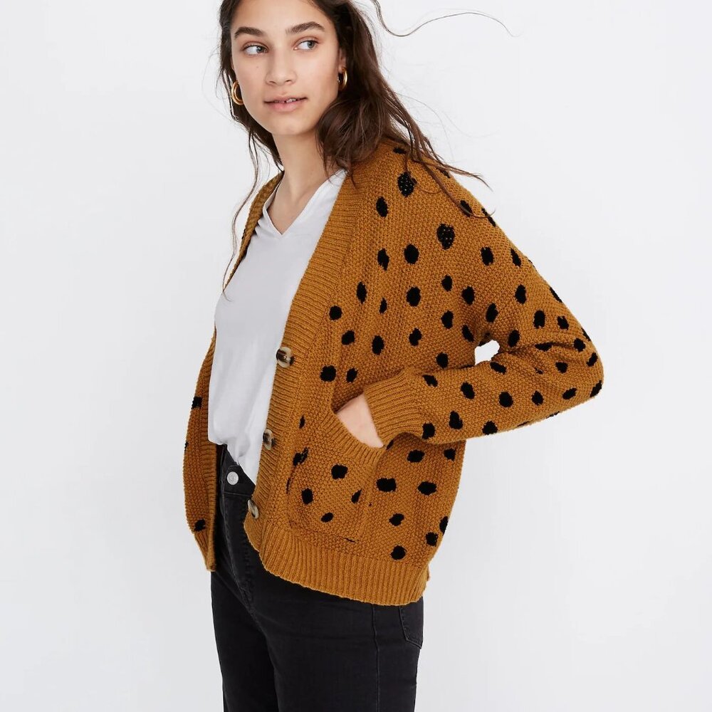 Madewell Hillview Cardigan Sweater in Painted Spots